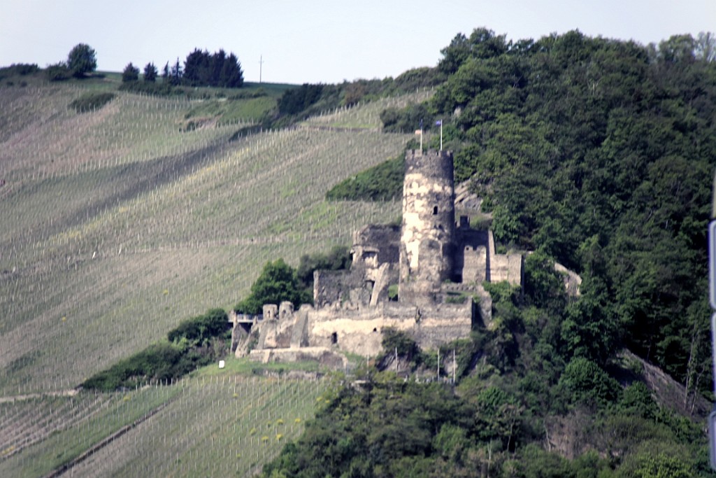 geis (150).jpg